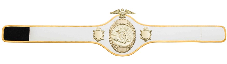 MMA CHAMPIONSHIP BELT- PRO288/G/MMAG - 10 COLOURS MMA CHAMPIONSHIP BELT- PRO288/G/MMAG - 10 COLOURS
